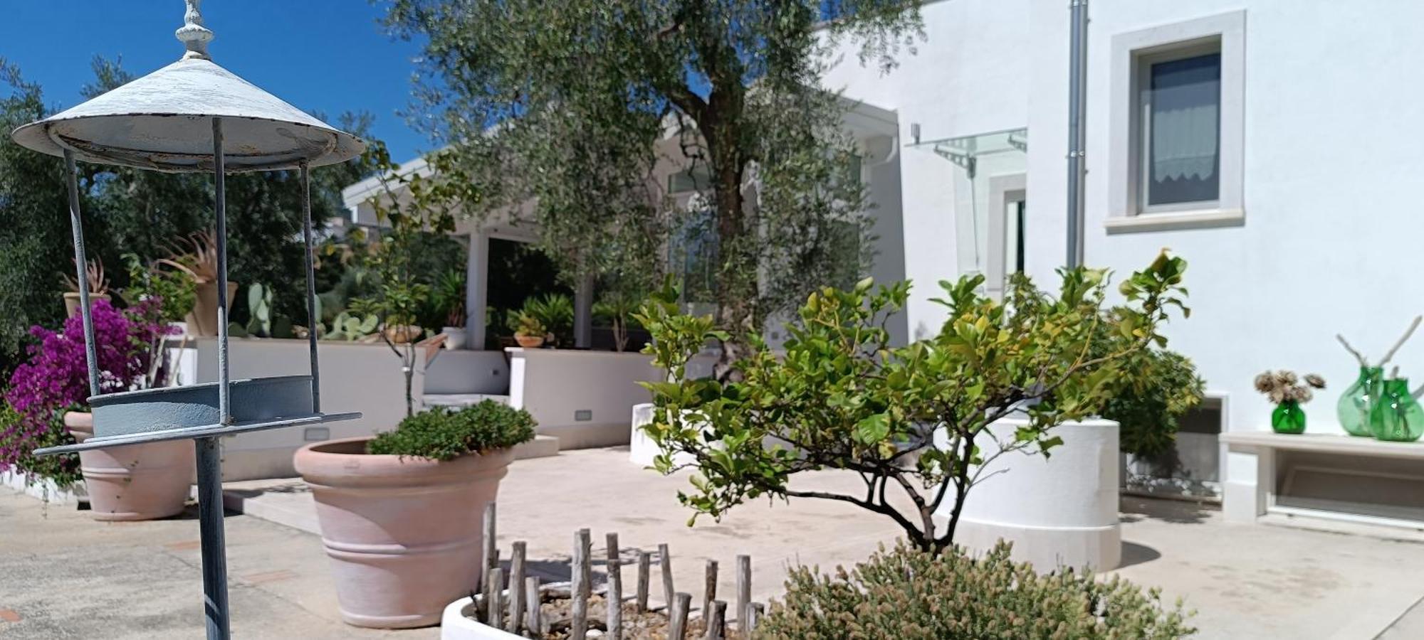 ماتيناتا B&B Sperlonga المظهر الخارجي الصورة